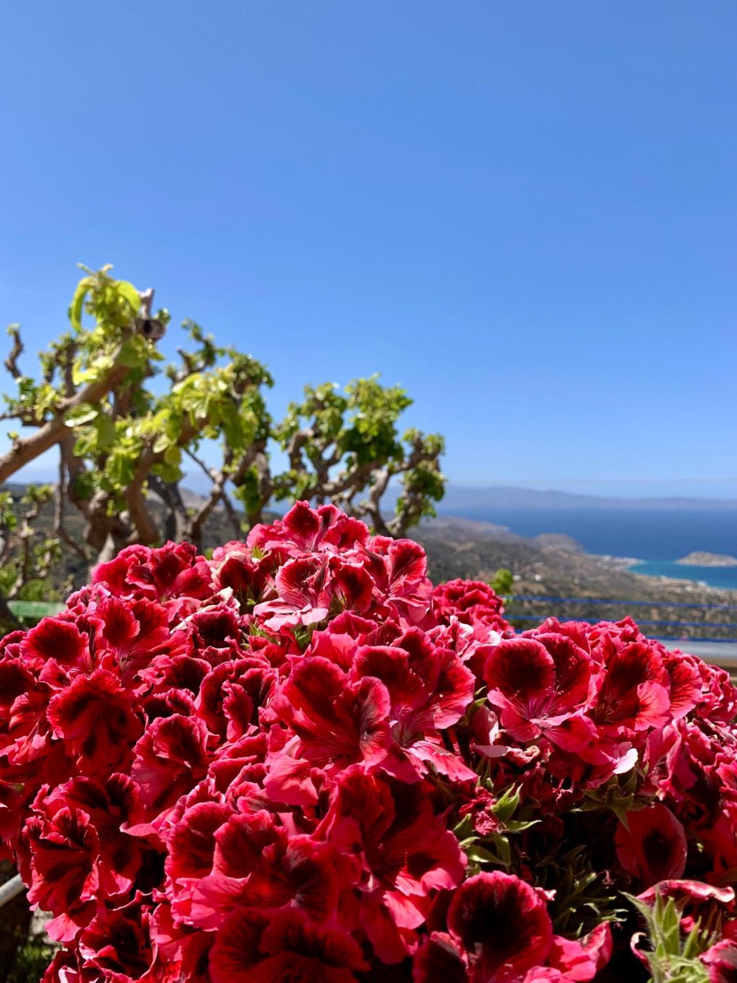 Morea Bay View Tourloti Экстерьер фото